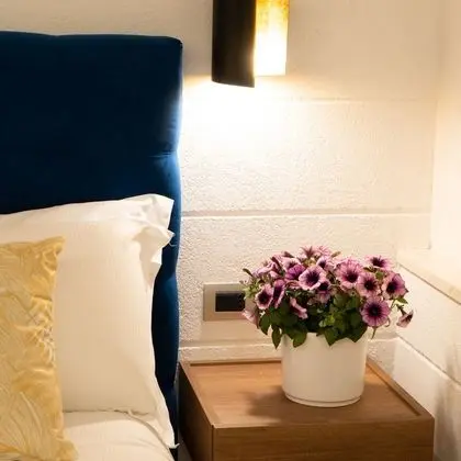 Tek Büyük Yataklı Oda, Engellilere Uygun, Veranda (Accessible, with Patio)