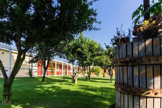 Tek Büyük Yataklı Oda, Engellilere Uygun, Veranda (Accessible, with Patio)