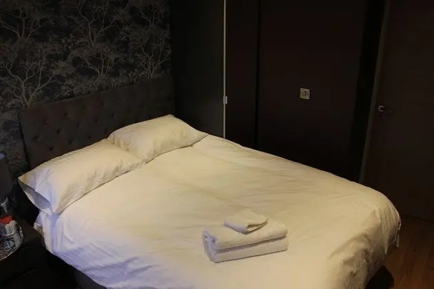 Basic Tek Büyük Yataklı Oda, Banyolu/Duşlu