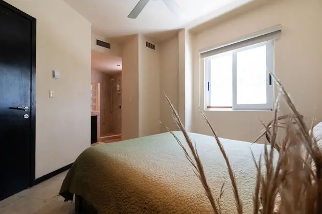 Deluxe  2 BR Penthouse  301
