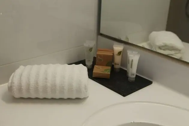 Deluxe Stüdyo Süit, 1 En Büyük (King) Boy Yatak, Teras