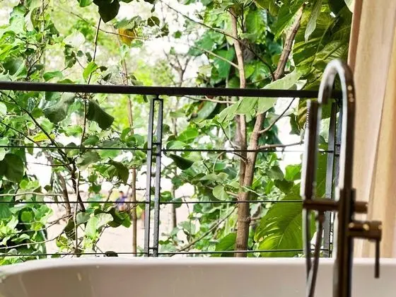 Ocean Front Suite King