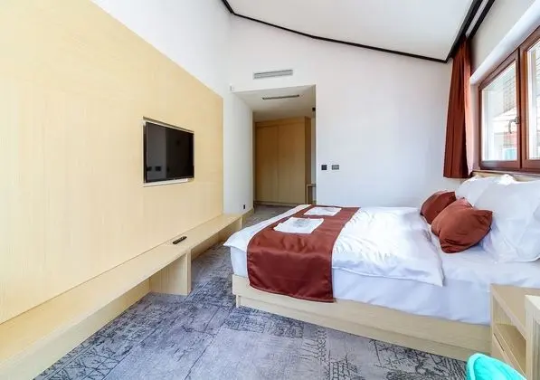 Deluxe Tek Büyük veya İki Ayrı Yataklı Oda, Şehir Manzaralı