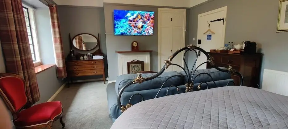 Exclusive Tek Büyük Yataklı Oda, Özel Banyo (Ivystone)