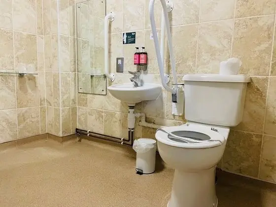 Standard Tek Büyük Yataklı Oda, Engellilere Uygun (Mobility Access)