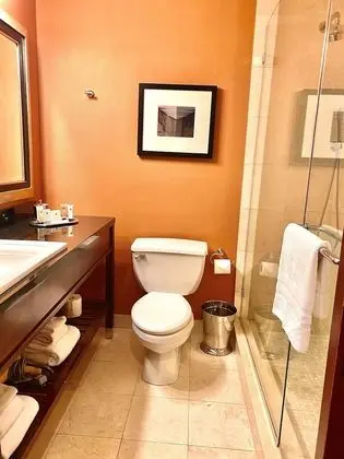 Deluxe Oda, 1 En Büyük (King) Boy Yatak