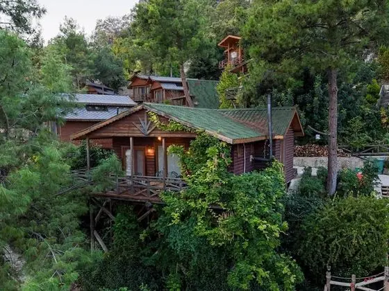 Ahşap Aile Evi, Doğa Manzaralı