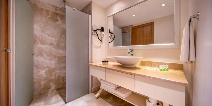 https://images.etstur.com/imgproxy/resize/2560x1440/files/images/hotelImages/etsrooms/449/Botanik_Platinum_20251120121259_0.jpg