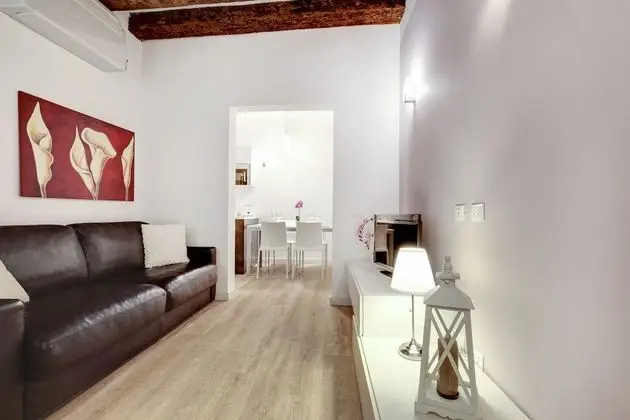 Apartment 1 bedroom, Ca dei Botteri 2