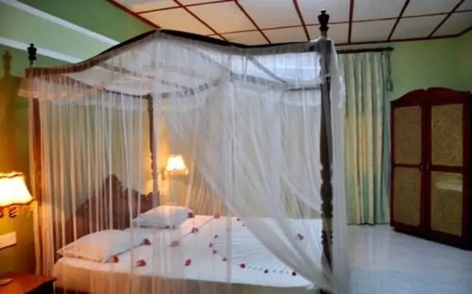 Deluxe Tek Büyük Yataklı Oda, Bahçe Manzaralı