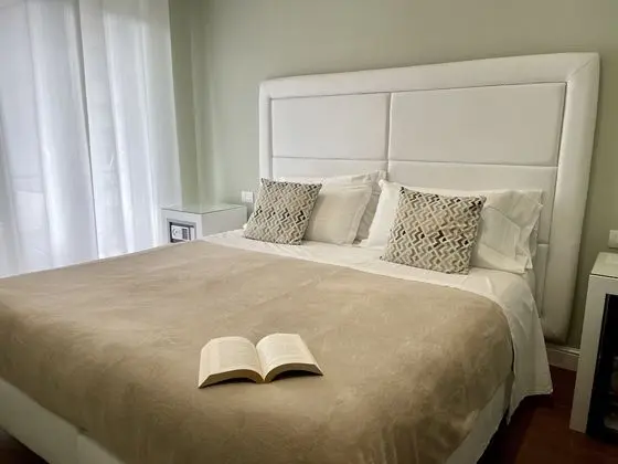 Superior Tek Büyük veya İki Ayrı Yataklı Oda, Balkon, Şehir Manzaralı