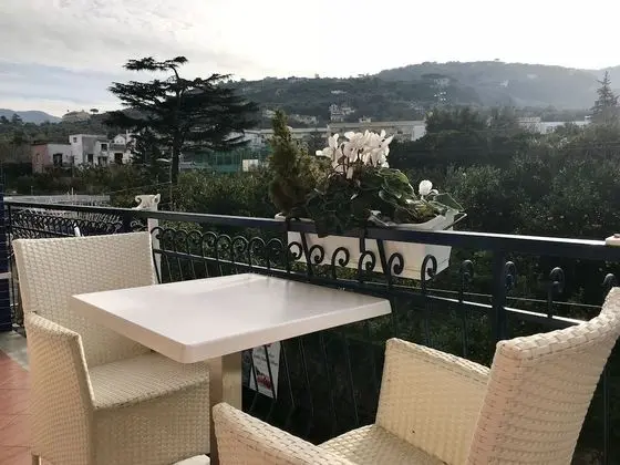Superior Tek Büyük veya İki Ayrı Yataklı Oda, Balkon, Şehir Manzaralı