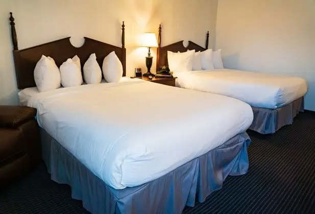 Basic Tek Büyük Yataklı Oda