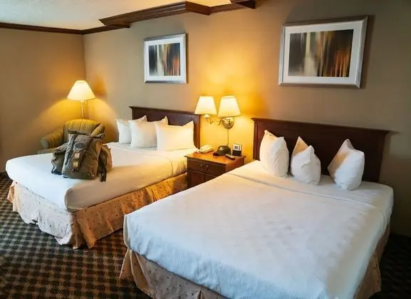 Basic Tek Büyük Yataklı Oda