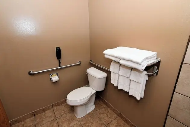 Room, 1 King Bed, Accessible Roll in Shower, Non Smoking