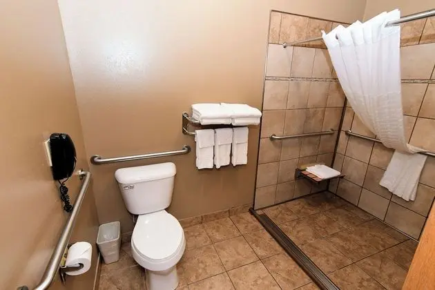 Room, 1 King Bed, Accessible Roll in Shower, Non Smoking