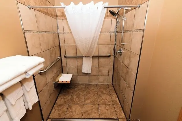 Room, 1 King Bed, Accessible Roll in Shower, Non Smoking