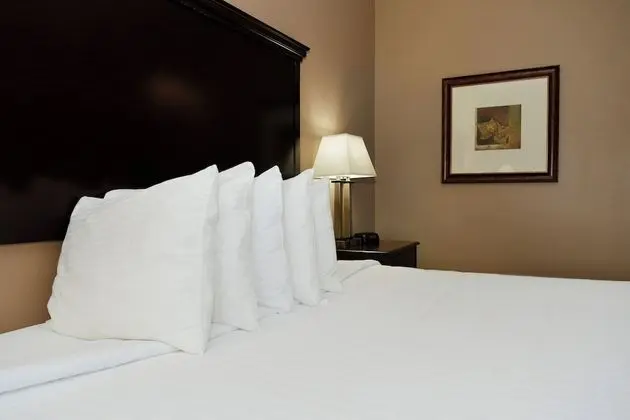 Room, 1 King Bed, Accessible Roll in Shower, Non Smoking