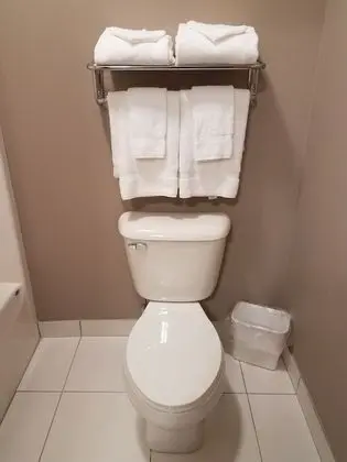 Standard Süit, 1 En Büyük (King) Boy Yatak ve Çekyat