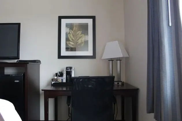 Suite, 1 King Bed with Jetted Tub, Non Smoking