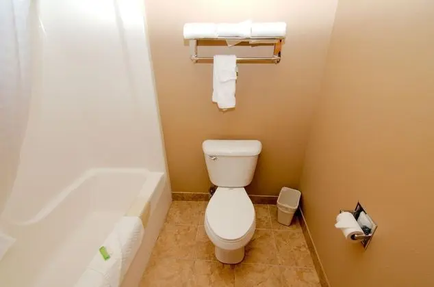 Suite, 1 King Bed with Jetted Tub, Non Smoking