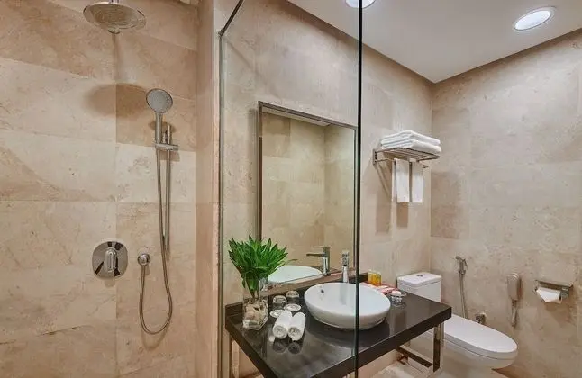 Superior Oda, 2 Tek Kişilik Yatak, Şehir Manzaralı