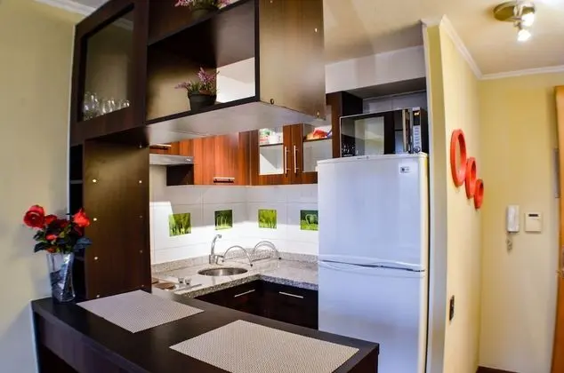 Executive Apart Daire, 1 Yatak Odası, Şehir Manzaralı