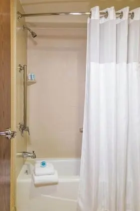 Standard Süit, Park Manzaralı (2 Queen Beds and 1 Sofa Bed)