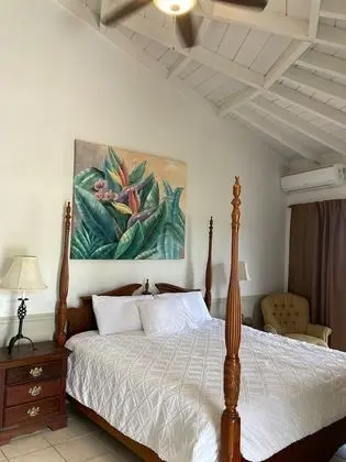 Deluxe Tek Kişilik Oda, Okyanus Manzaralı