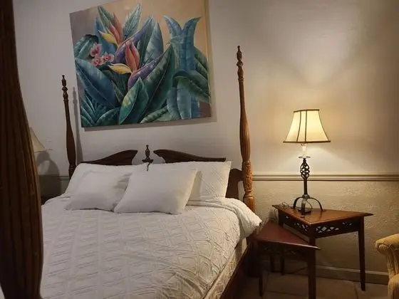 Deluxe Tek Kişilik Oda, Okyanus Manzaralı