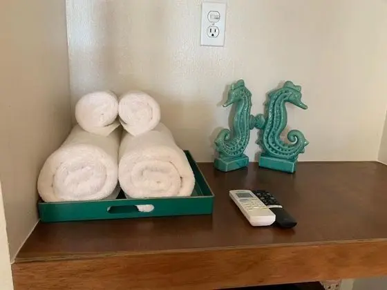 Comfort Tek Büyük Yataklı Oda, Birden Çok Yatak, Okyanus Manzaralı