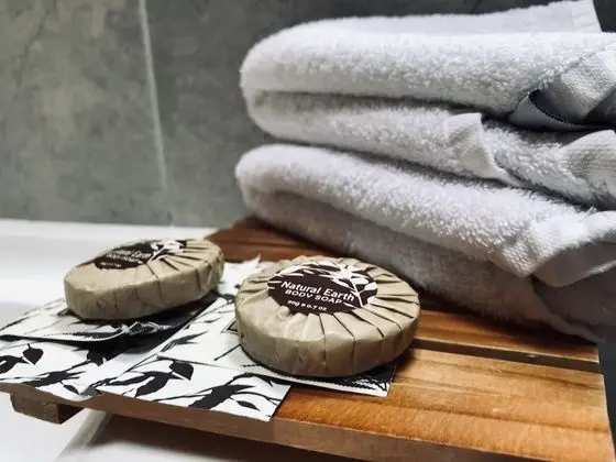 Comfort Büyük Yataklı Tek Kişilik Oda, 1 Yatak Odası, Bahçe Manzaralı, Bahçeli