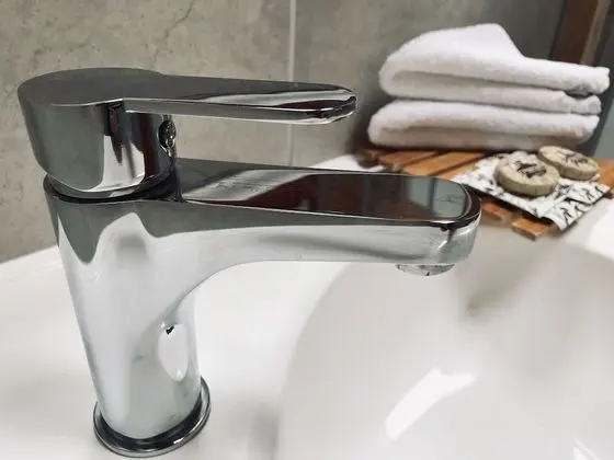 Comfort Büyük Yataklı Tek Kişilik Oda, 1 Yatak Odası, Bahçe Manzaralı, Bahçeli