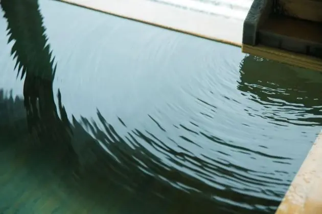 Traditional Süit (Japanese Modern with Hot Spring Bath)
