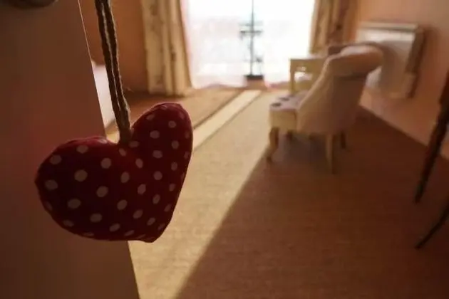 Tek Büyük Yataklı Oda (Améthyste)