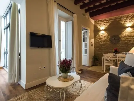 Luxury Apart Daire, Banyolu/Duşlu (Ximenez de Enciso Apartment)