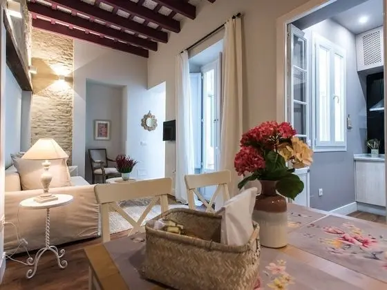 Luxury Apart Daire, Banyolu/Duşlu (Ximenez de Enciso Apartment)