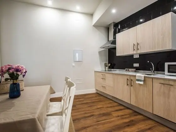Luxury Apart Daire, Banyolu/Duşlu (Ximenez de Enciso II Apartment)