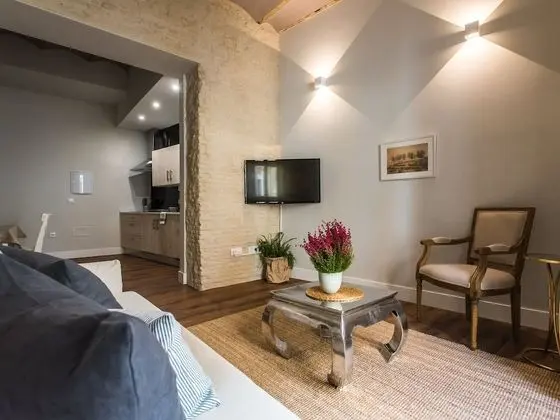 Luxury Apart Daire, Banyolu/Duşlu (Ximenez de Enciso II Apartment)