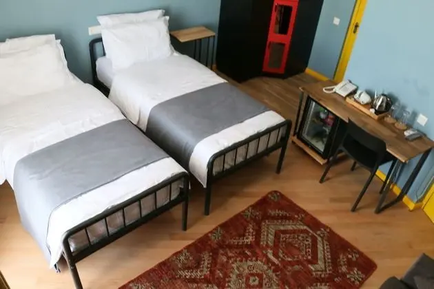 Superior İki Ayrı Yataklı Oda, Balkon, Şehir Manzaralı