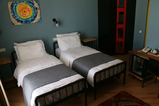 Superior İki Ayrı Yataklı Oda, Balkon, Şehir Manzaralı