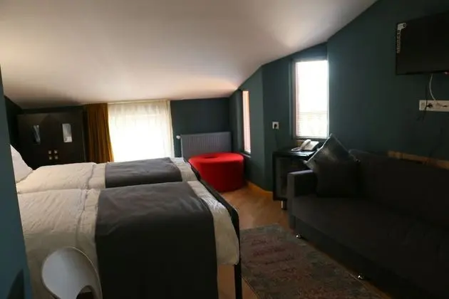 Superior İki Ayrı Yataklı Oda, Balkon, Şehir Manzaralı