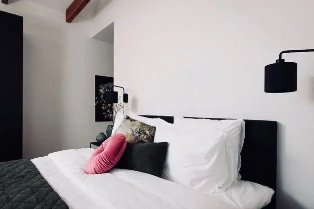 Deluxe Tek Büyük Yataklı Oda, 1 En Büyük (King) Boy Yatak