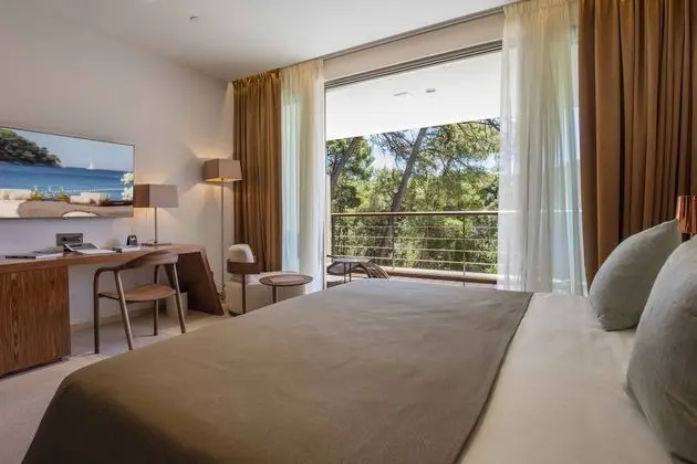 Deluxe Oda, Park Manzaralı