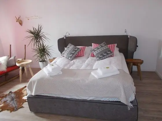 Superior Tek Büyük Yataklı Oda