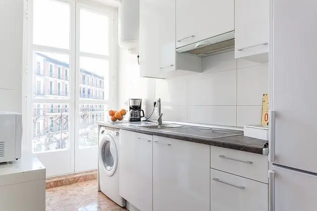 Design Apart Daire, 1 Yatak Odası (Stunning Urban Apt. Historic District)