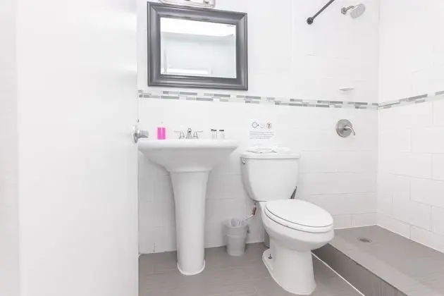 Deluxe Stüdyo Süit (Unit 5)