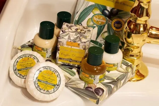 Deluxe Tek Büyük veya İki Ayrı Yataklı Oda, Özel Banyo