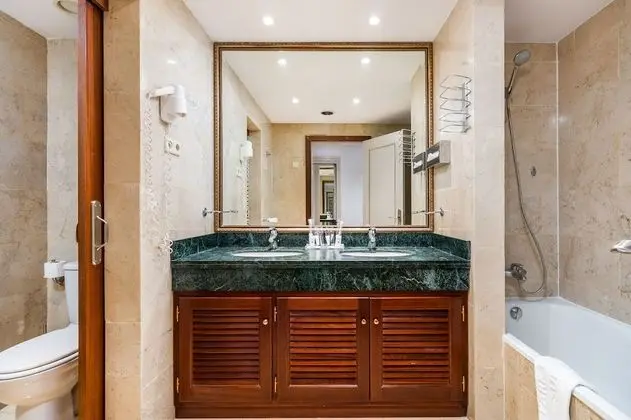 Deluxe Tek Büyük Yataklı Oda (Paseo)
