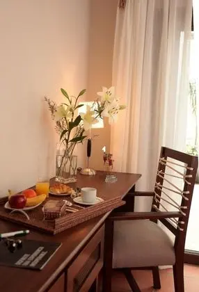 Superior Tek Büyük Yataklı Oda, 1 Yatak Odası, Özel Banyo